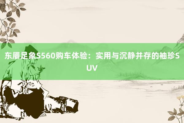 东餍足象S560购车体验：实用与沉静并存的袖珍SUV